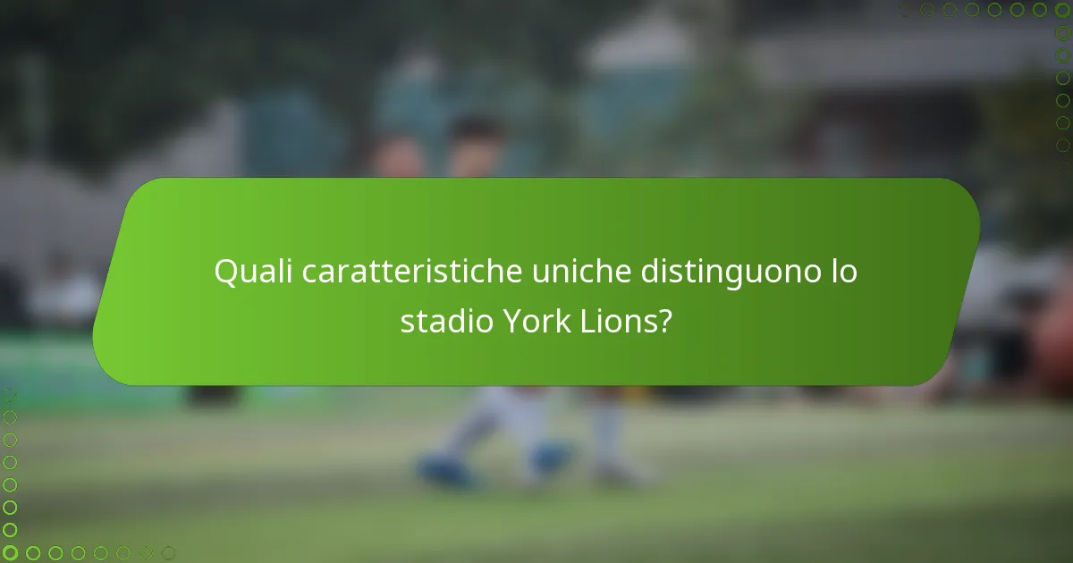 Quali caratteristiche uniche distinguono lo stadio York Lions?